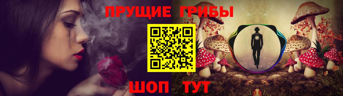 Псилоцибиновые грибы прущие грибы Карталы